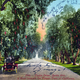 Illustration for article titled Before the Palm, the Pepper Was Southern California's Most Iconic Tree